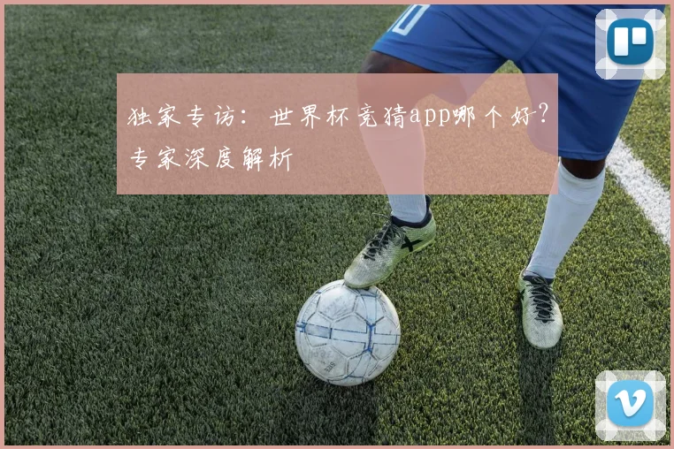 独家专访：世界杯竞猜app哪个好？专家深度解析