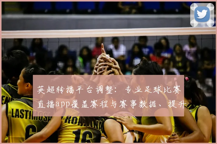 英超转播平台调整:专业足球比赛直播app覆盖赛程与赛事数据、提升观看稳定性