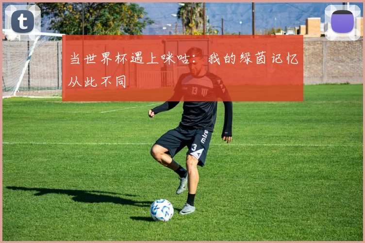 当世界杯遇上咪咕:我的绿茵记忆从此不同