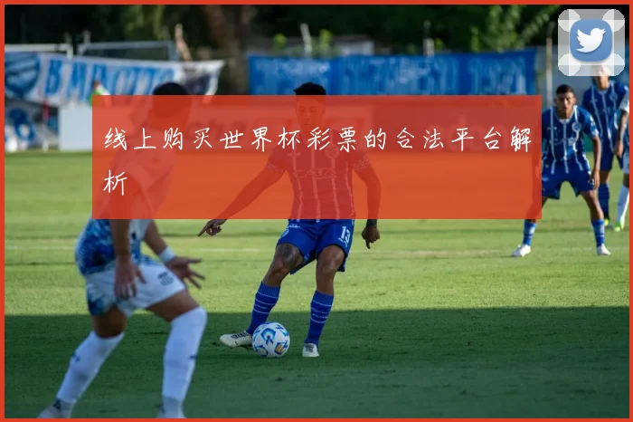 线上购买世界杯彩票的合法平台解析