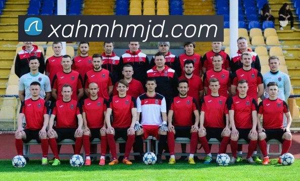 半岛网页版发展历程