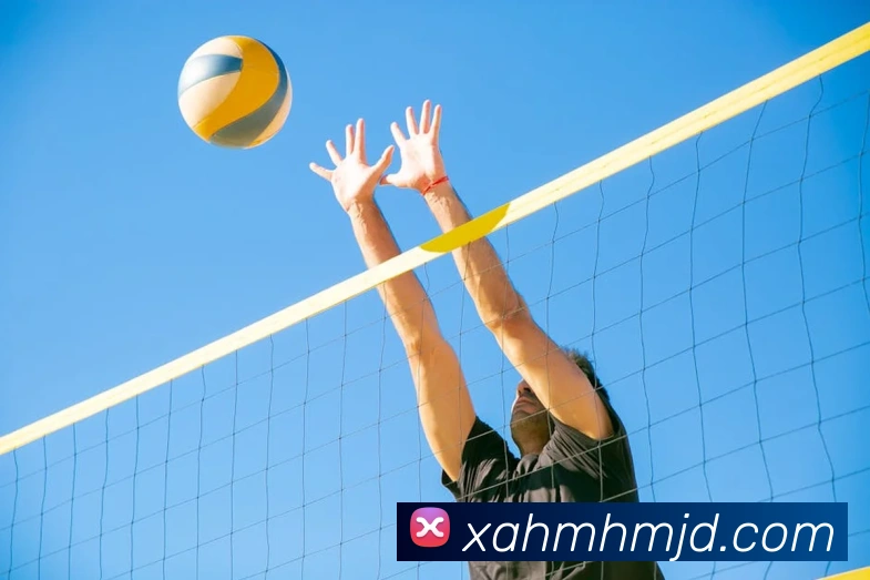 欧冠直播平台盘点:体育频道实时转播详情